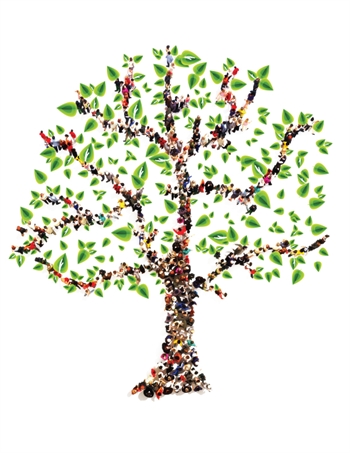 Branching Out: Helping Patrons with Genealogy and DNA - Illinois